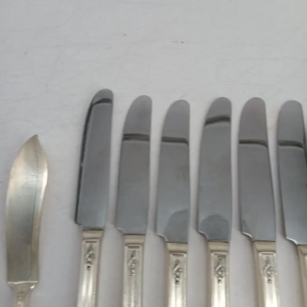 8+1X BK Vtg Manor Plate Triple Rose Rosedale Butter Knives Silverplate